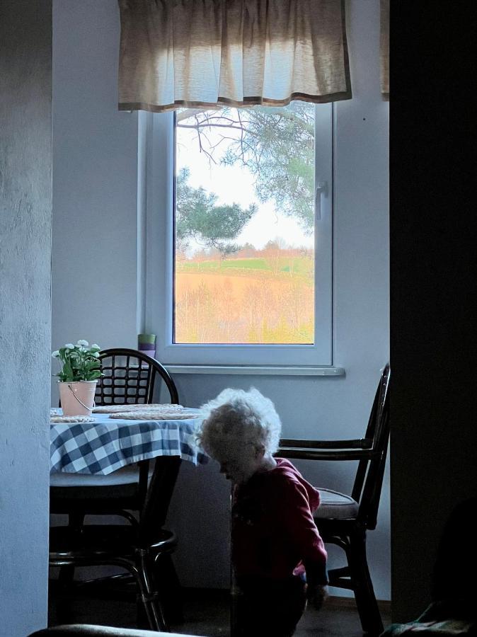Domek Matylda- Kaszuby Villa Nowe Czaple  Kültér fotó