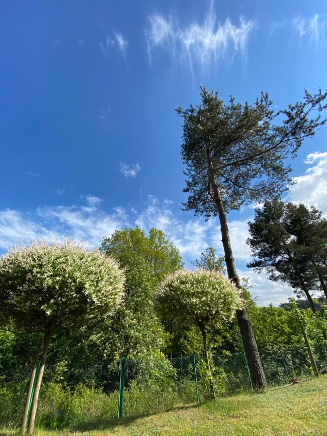 Domek Matylda- Kaszuby Villa Nowe Czaple  Kültér fotó